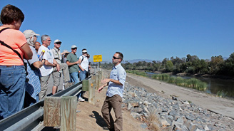 Wetland Walk Ian Swift Thumbnail